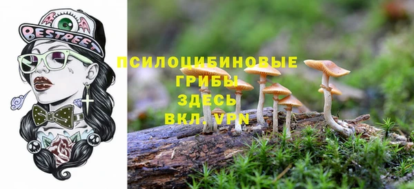 хмурый Абинск